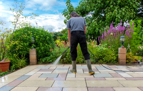 Best Driveway Pressure Washing  in Plainfield, IL